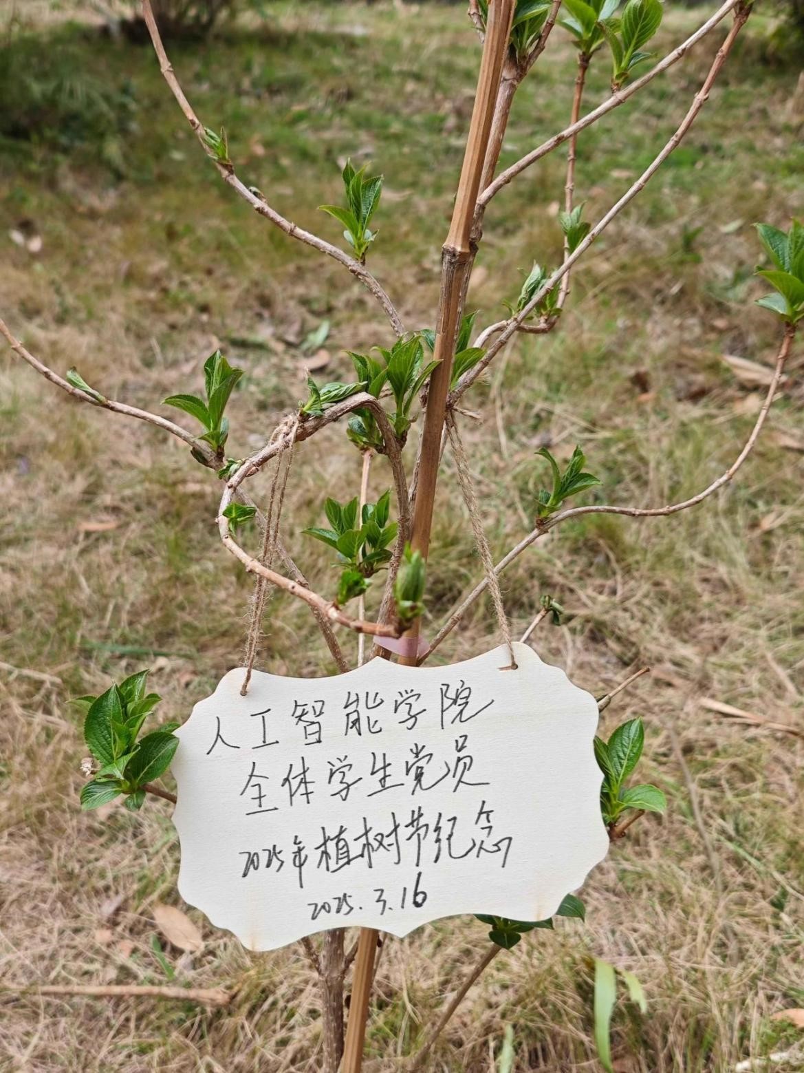 qy球友会